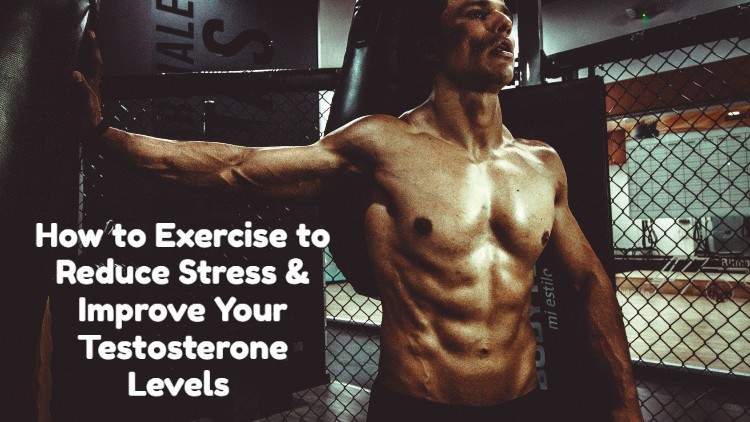 exercise-to-help-improve-testosterone